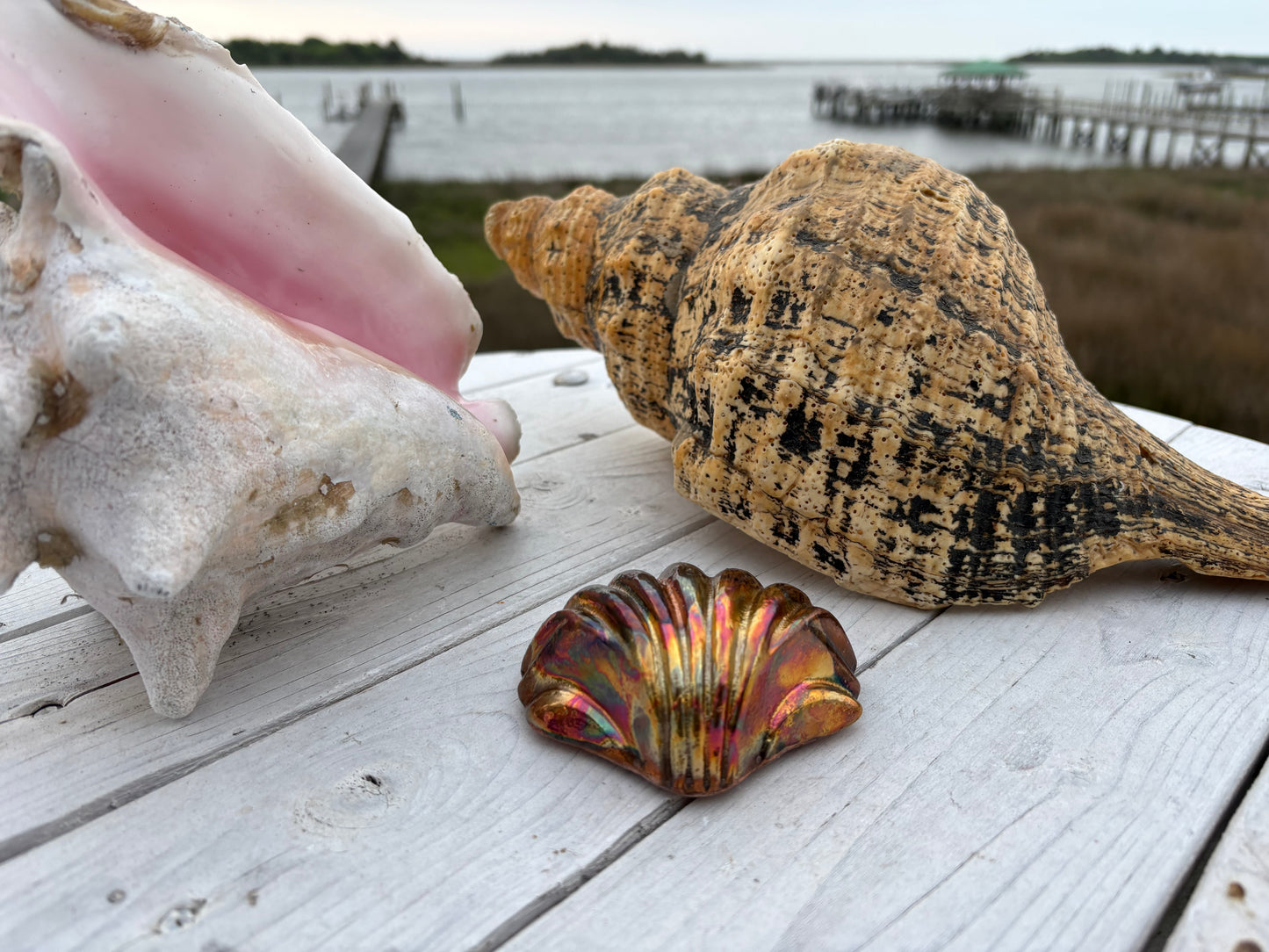 Flame painted Clam shell