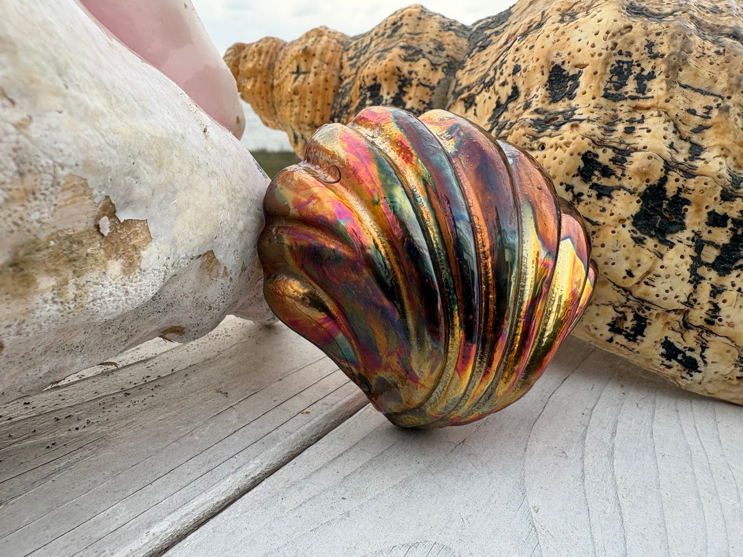 Flame painted Clam shell