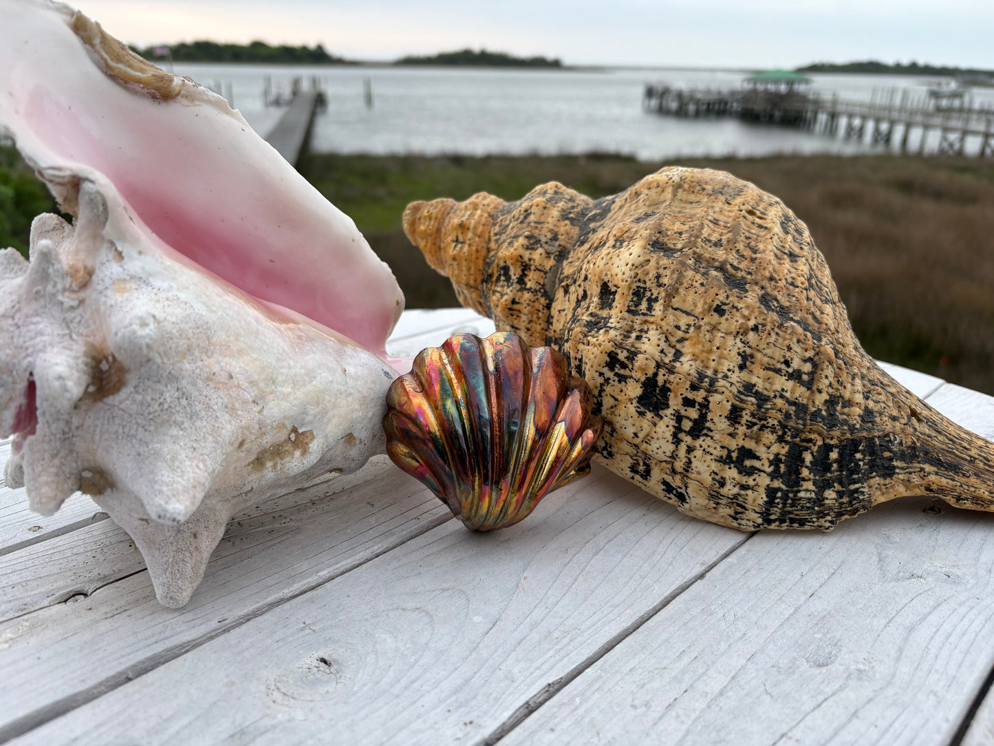 Flame painted Clam shell